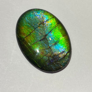 AA ammolite calibrated cabochon. Beautiful green blue pink colours. 25 x 18 mm high dome quartz cap