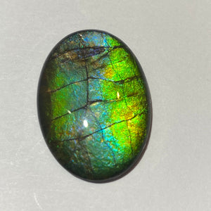 AA ammolite calibrated cabochon. Beautiful green blue pink colours. 25 x 18 mm high dome quartz cap