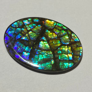 AAA+ ammolite calibrated cabochon with dragon skin patter august blue colours and fire in between scales. 40x30 mm low dome quartz cap
