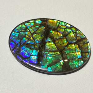 AAA+ ammolite calibrated cabochon with dragon skin patter august blue colours and fire in between scales. 40x30 mm low dome quartz cap