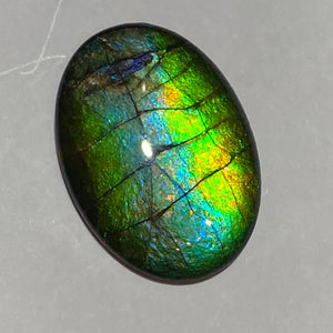 AA ammolite calibrated cabochon. Beautiful green blue pink colours. 25 x 18 mm high dome quartz cap