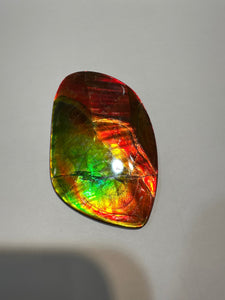 Beautiful Red and Green Two Sided Hand Polished Ammolite
