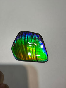 Beautiful hand-polished Ammolite with vibrant greens and blues
