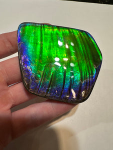 Beautiful hand-polished Ammolite with vibrant greens and blues