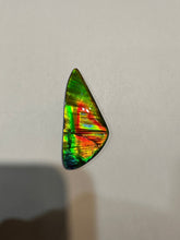 Load image into Gallery viewer, Beautiful hand-polished Ammolite with vibrant yellows and reds

