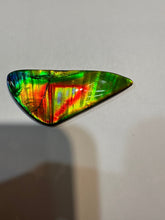 Load image into Gallery viewer, Beautiful hand-polished Ammolite with vibrant yellows and reds
