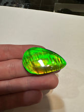 Load image into Gallery viewer, Beautiful hand-polished Ammolite with vibrant yellows and greens
