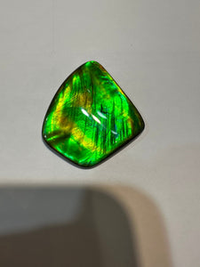 Beautiful hand-polished Ammolite with vibrant greens and yellows