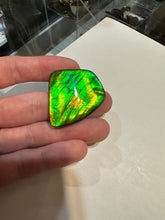 Load image into Gallery viewer, Beautiful hand-polished Ammolite with vibrant greens and yellows
