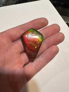 Beautiful hand-polished two sided Ammolite with a unique and vibrant appearance