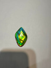 Load image into Gallery viewer, Beautiful hand-polished Ammolite with vibrant blues and greens
