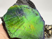 Load and play video in Gallery viewer, matching natural ammolite specimen

