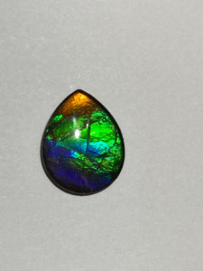 Rainbow ammolite gemstone