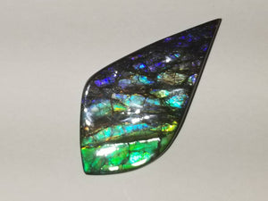 Beautiful rainbow dragonskin free form ammolite gemstone 80x45mm 5N