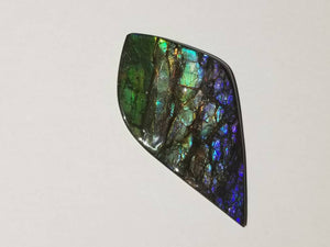 Beautiful rainbow dragonskin free form ammolite gemstone 80x45mm 5N