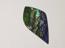 Load image into Gallery viewer, Beautiful dragonskin free form ammolite gemstone 80x45mm 5N
