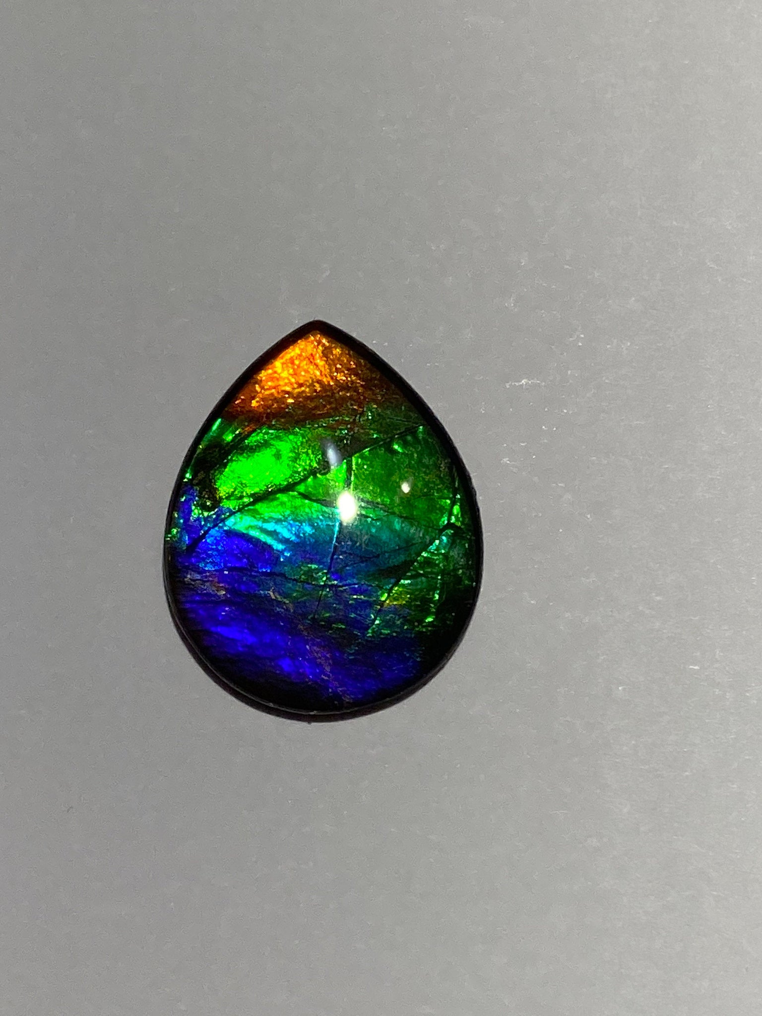 Ammolite - The Rainbow Colored Gemstone – KORITE