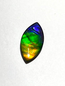 AAA+ very intense bright Rainbow Ammolite gemstone 10x20