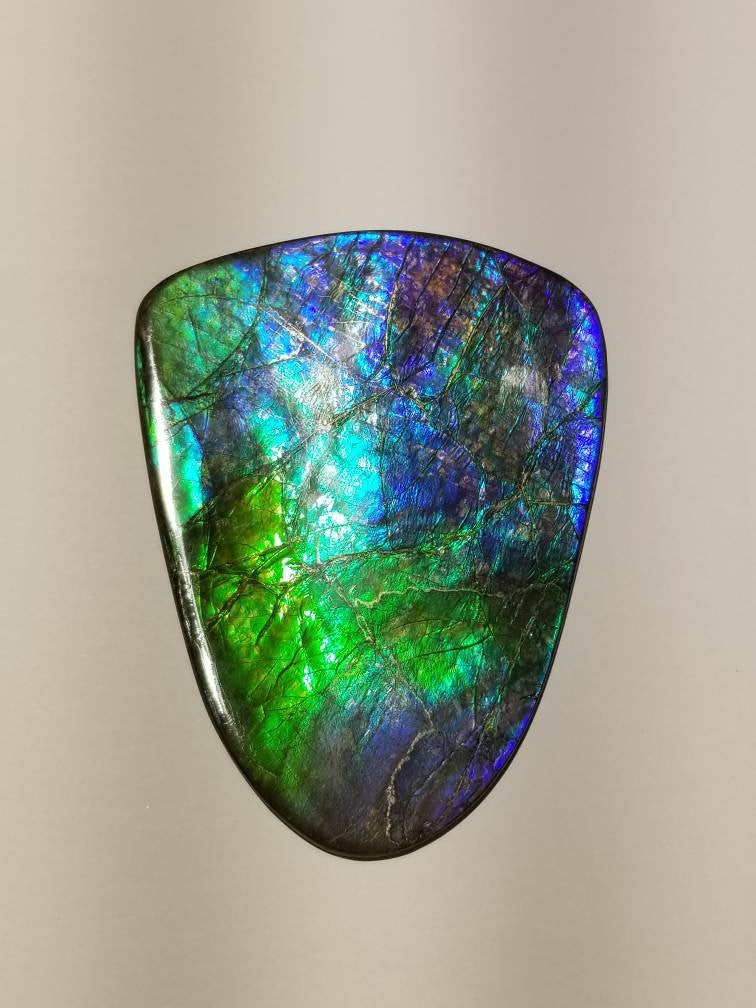 Very rare hand polished no resin purple/blue/green ammolite Gemstone  100x76mm 6O - thickness 5mm