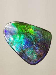 Very Large Collector piece purple/blue/green ammolite Gemstone  100x76mm 6O - thickness 5mm