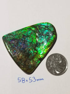 Rare purple/green dragonskin free form ammolite gemstone 58x53mm 5K