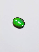 Load image into Gallery viewer, Ammolite calibrated triplet 14x12 green cabochon 1pc (x34)

