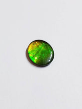 Load image into Gallery viewer, Ammolite calibrated triplet 13x11mm cabochon 1pc (x19)
