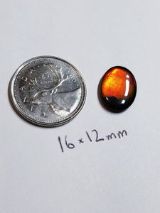 Ammolite calibrated 16x12mm triplet cabochon 1pc (x27)
