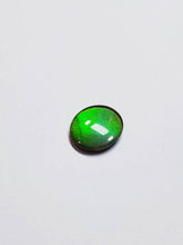 Load image into Gallery viewer, Ammolite calibrated triplet 14x12 green cabochon 1pc (x34)
