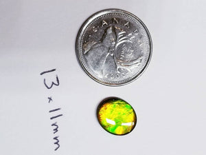 Ammolite calibrated triplet 13x11mm cabochon 1pc (x19)