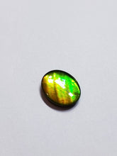 Load image into Gallery viewer, Ammolite calibrated 14x12mm triplet cabochon (x32)
