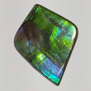 Purple/green/blue very beautiful AAA ammolite cabochon gemstone 50x38mm collector grade