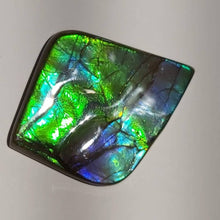 Load image into Gallery viewer, Purple/green/blue very beautiful AAA ammolite cabochon gemstone 50x38mm collector grade
