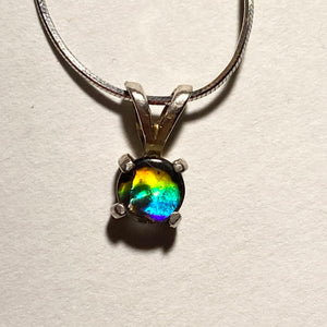 Ammolite pendant set in  Sterling Silver with vibrant rainbow flash
