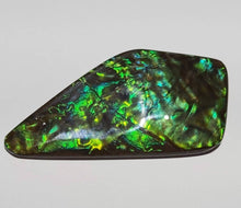 Load image into Gallery viewer, hand polished no resin Incredible green ammolite gemstone with interesting patterns 58x30mm collectors
