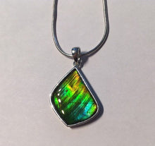 Load image into Gallery viewer, Ammolite pendant in Sterling Silver with gorgeous greens and blues, flashes of gold
