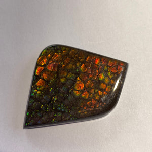Beautiful multicoloured dragonskin free form ammolite gemstone 45x35 mm