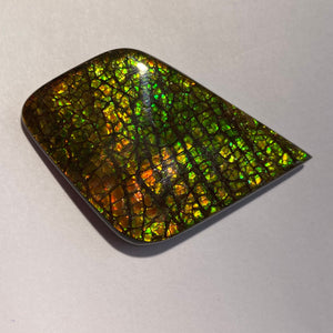 Beautiful multicoloured dragonskin free form ammolite gemstone 50x34 mm