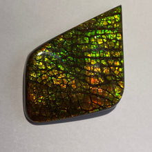 Load image into Gallery viewer, Beautiful multicoloured dragonskin free form ammolite gemstone 50x34 mm
