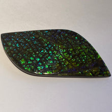 Load image into Gallery viewer, Beautiful green/blue/aqua and stripe of purple in dragon skin ammolite 79x39 mm
