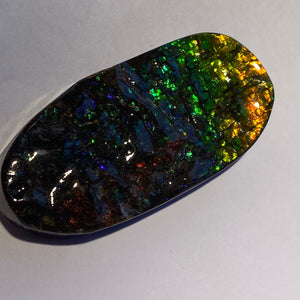 Beautiful Green/golden/orange with red and purple sparkles in darkness ammolite 66x32 mm