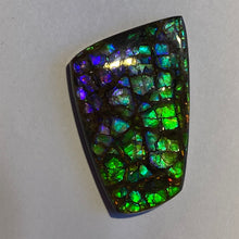 Load image into Gallery viewer, Rare pink/purple/green with spots of ember orange and red dragon skin ammolite

