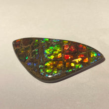 Load image into Gallery viewer, Stunning Rainbow dragon skin ammolite free form 60x30x4 mm

