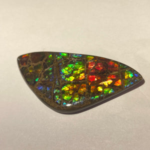 Stunning Rainbow dragon skin ammolite free form 60x30x4 mm
