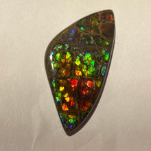Load image into Gallery viewer, Stunning Rainbow dragon skin ammolite free form 60x30x4 mm
