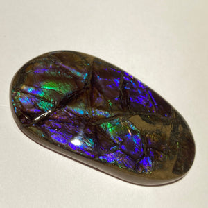 Glowing and deep purple, blue, green, aqua ammolite free form 56x32x6 mm