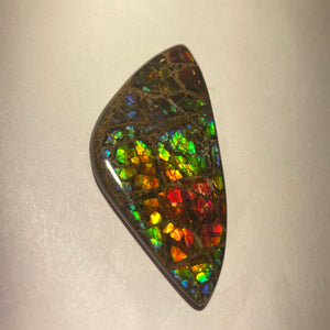 Stunning Rainbow dragon skin ammolite free form 60x30x4 mm