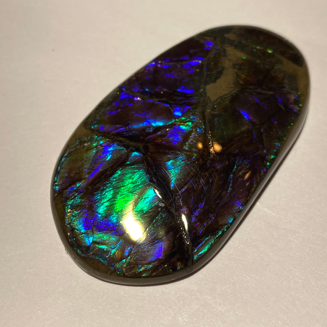 Glowing and deep purple, blue, green, aqua ammolite free form 56x32x6 mm