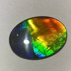 AAA+ ammolite calibrated cabochon. Beautiful rainbow colours. 40x30 mm low dome quartz cap