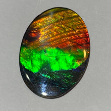 Load image into Gallery viewer, AAA+ ammolite calibrated cabochon. Beautiful blue, green, gold and red colours. 30x 22 mm low dome quartz cap
